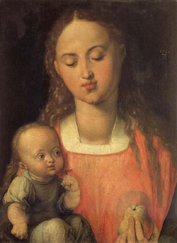 Albrecht Durer The Madonna with the pear Norge oil painting art